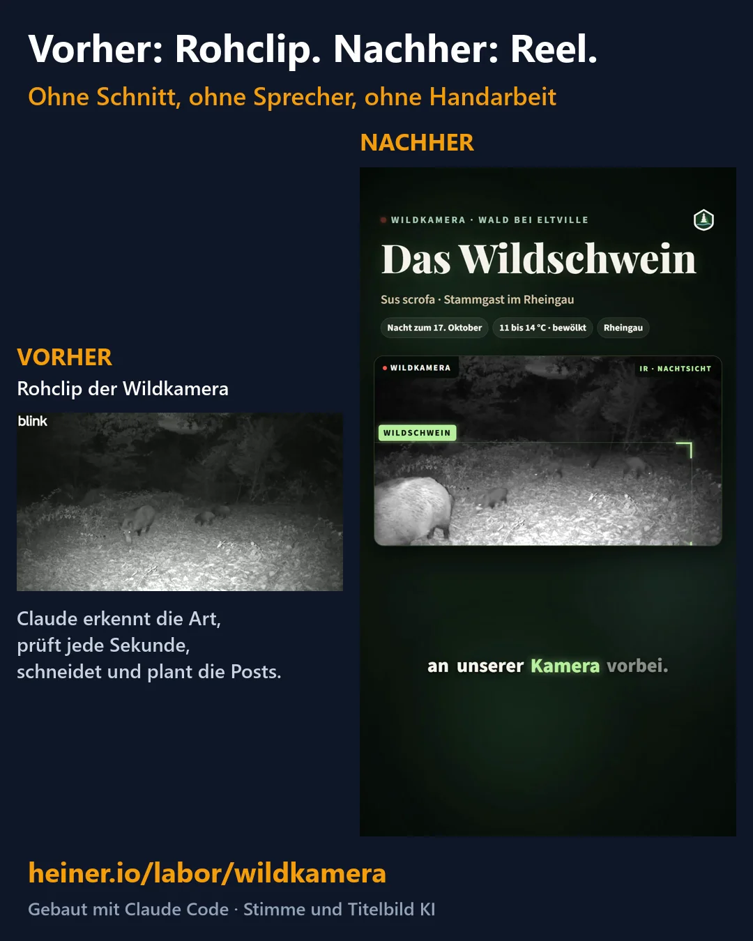 Vorher-nachher-Vergleich: links der Infrarot-Rohclip der Wildkamera, rechts das fertige Wildschwein-Reel mit Titel, Rahmen um die Tiere und Untertitel