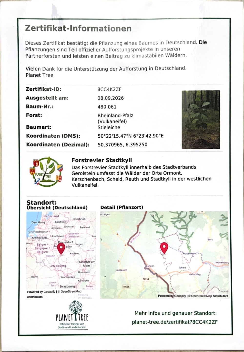 Rückseite des Baumzertifikats mit Zertifikat-ID 8CC4K2ZF, Baum-Nr. 480.061, Stieleiche, Forstrevier Stadtkyll und Karte des Pflanzorts