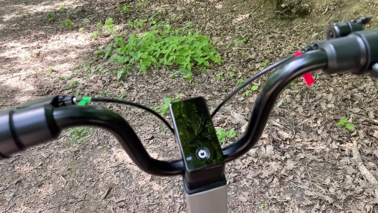 Blick über den Lenker auf das Display, obwohl der Dateiname den Roller im Stand versprach